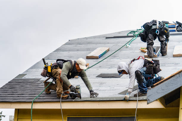 Professional Roofing technician working in Woodrow, CO